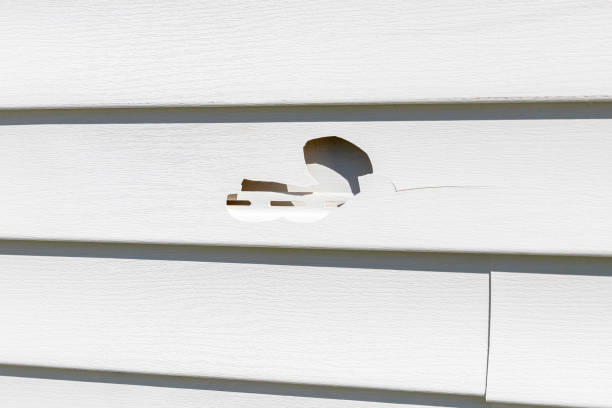 Best Siding Painting and Refinishing  in Carolina Shores, NC