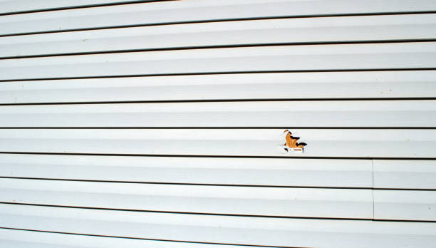 Best Insulated Siding Installation  in Carolina Shores, NC